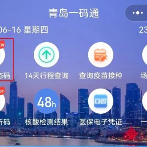 青岛一码通静态码申领操作流程