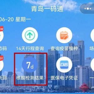 青岛市一码通打印核酸检测阴性证明操作流程
