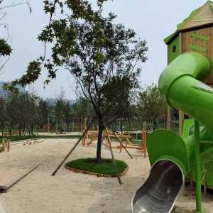 旅投集团：打造城市“后花园”，提升绿色获得感