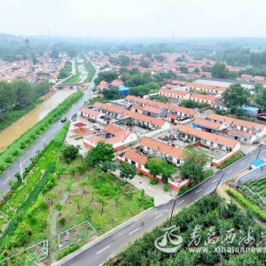 组图｜雨后乡村 美景如画