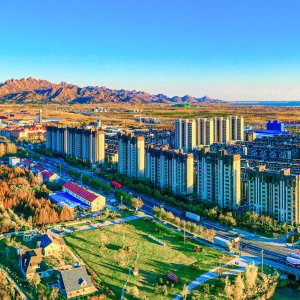 “绿满乡村”引发绿色效应！张家楼街道坚定走好乡村振兴路