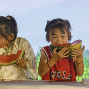 王台街道：村民种出33.9斤大西瓜，获评年度瓜王