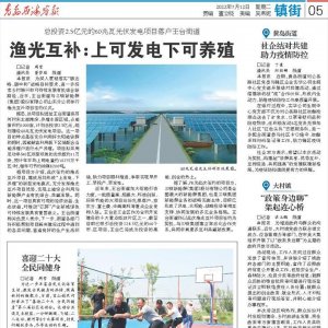 总投资2.5亿元的渔光互补光伏发电项目落户王台街道