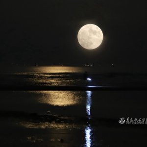 “超级月亮”现身夜空