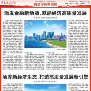 西海岸改革访谈：区地方金融监督管理局｜区新经济发展促进中心