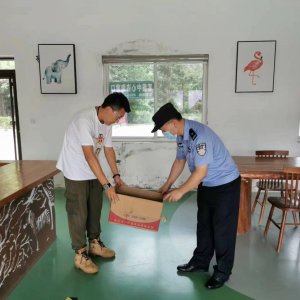 民警路边救起受伤小鸟 原来是珍稀物种