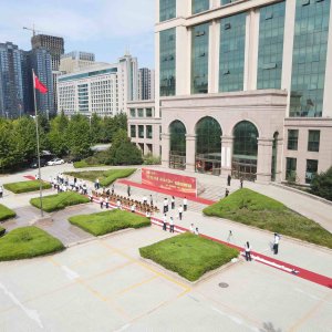 黄岛区税务局举办书法百米长卷创作活动