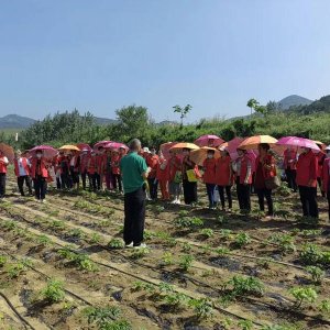 区农业农村局提前超额完成政府实事农民技能培训