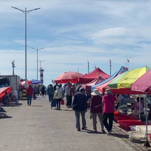 琅琊港码头：渔获丰 码头忙