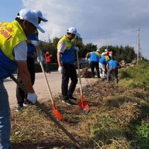西海岸新区交通运输局走进乡村整治环境卫生