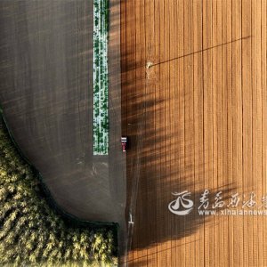 翻整田地备秋播