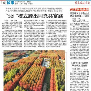 “521”模式蹚出同兴共富路！海青镇北茶商街乡村振兴综合体正式启用