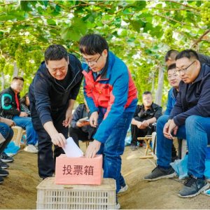 黄发集团：党支部会议开到产业一线