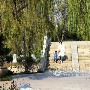 双珠公园：色彩斑斓邂逅初冬