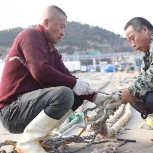 抓紧整修渔船和渔具 青岛渔民准备再出海
