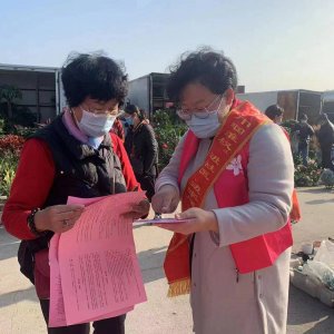 “国际消除家庭暴力日” 新区在行动