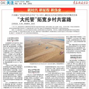 西海岸新区：从严落实各项寒潮雨雪大风天气防范应对措施，切实保障群众正常生产生活秩 ...