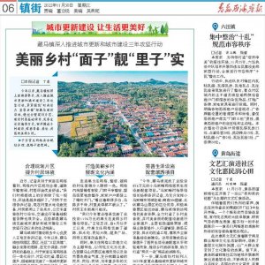 大场镇：一套教辅书摘下国赛金牌