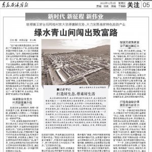 关港合作，集装箱疏运“快又准”