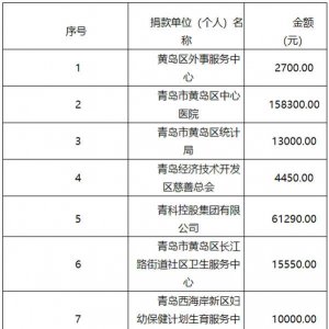 青岛经济技术开发区慈善总会2022年“慈善一日捐”活动收支情况公示