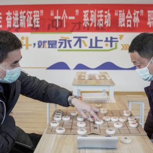 西海岸新区?“融合杯”职工象棋比赛成功举办
