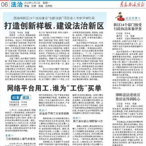 打造创新样板，建设法治新区