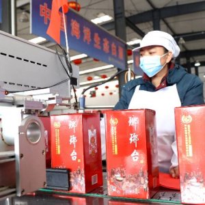 冬酿正当时 企业生产忙