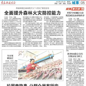 西海岸新区森林防灭火“十四五”规划发布
