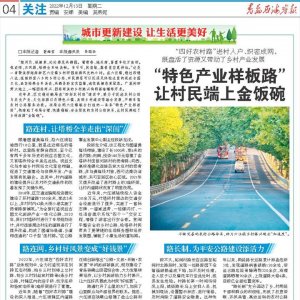 黄岛海关：让更多中国高端制造驶向深海