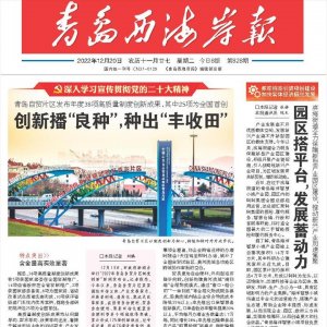 加快实体经济振兴发展｜滨海街道：园区搭平台，发展蓄动力