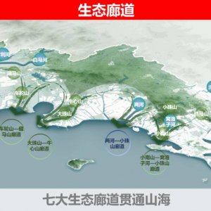 西海岸新区总体城市设计入选全省典型案例