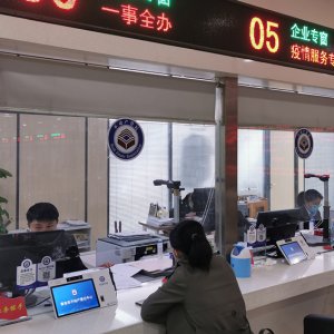 区自然资源局不动产登记中心：不动产登记跑出便民利企“加速度”