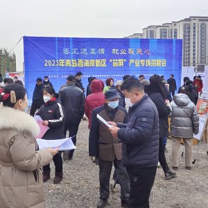 青岛开发区举办“芯屏”产业招聘会