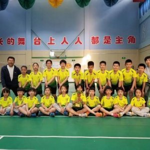 精彩绽放！新区体育小将在多项赛事斩获佳绩