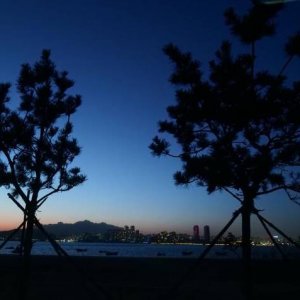 注重旅游品质提升，倾心打造靓丽风景线——区城市管理局实施西环岛区域环境整治提升工 ...