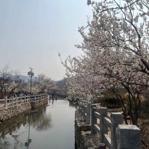 “花”点时间游黄泥巷