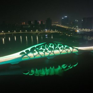 组图｜“网红”珊瑚贝桥 越夜越梦幻