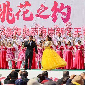 青岛西海岸新区王台街道第五届桃花源艺术节启幕