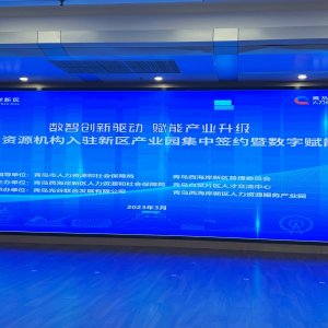 总额30亿！10个人力资源服务项目落地西海岸