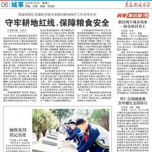 西海岸新区：守牢耕地红线，保障粮食安全