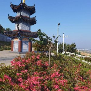 青岛西海岸新区公益性生态公墓——生态安葬，让生命回归自然