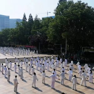 区老年人体协：展太极风采 享健康生活