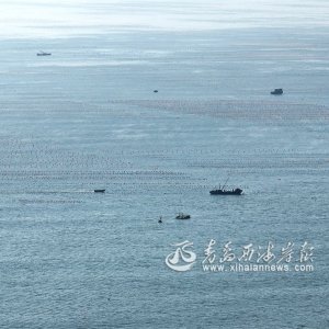 盛夏时节耕海忙