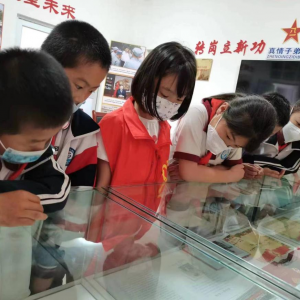 讲述红色故事，争做红色少年——宝山镇小学学生参观镇退役军人服务站