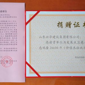山东兴华建设集团有限公司向新区9家敬老院捐赠生态鸡蛋26600斤