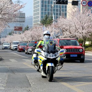 黄岛公安分局交警大队：党建带队建，服务提效能