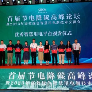 首届节电降碳高峰论坛暨2023年高效绿色智慧用电新技术交流会在新区开幕