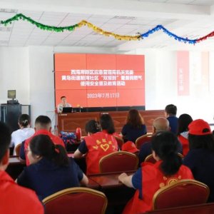 区应急管理局机关党委到黄岛街道前湾社区开展“双报到”活动